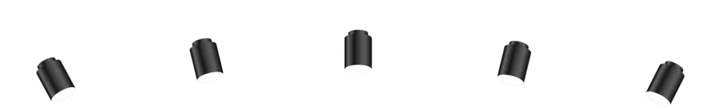 Spotlight on Success